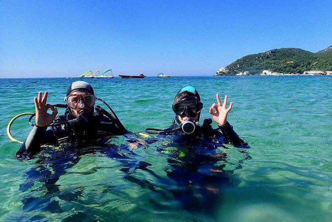 Lisbon Active Tourism - Diving in Arrábia - Sesimbra - Key points to know before booking