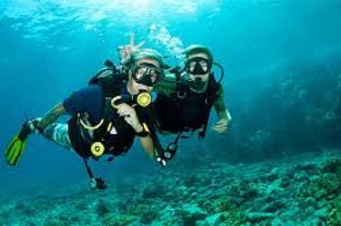 Lisbon Active Tourism - Diving in Arrábia - Sesimbra - Leaving Lisbon with Hugo and a private vehicle