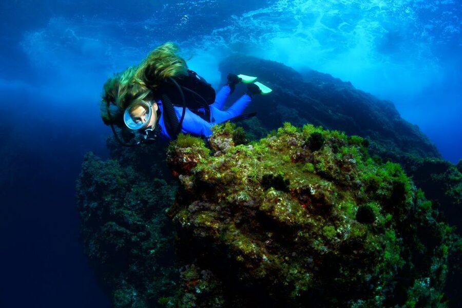 Lisbon: Become a Scuba Diver in 3-Days - Day two: building confidence with equipment