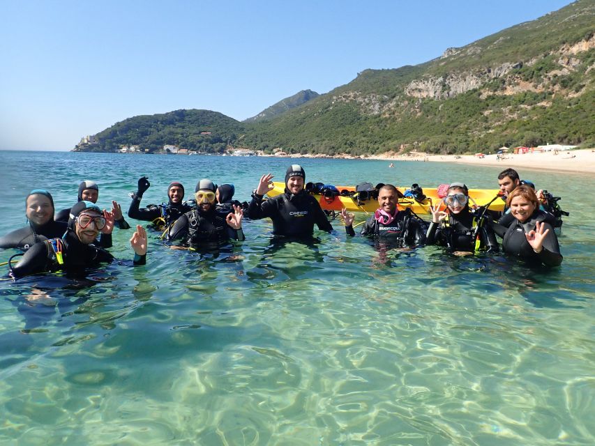 Lisbon: Try Dive in Arrábida Marine Reserve Setubal Sesimbra - Key points at a glance