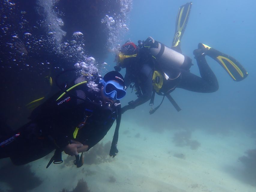 Lisbon: Try Dive in Arrábida Marine Reserve Setubal Sesimbra - From Lisbon to Creiro Beach