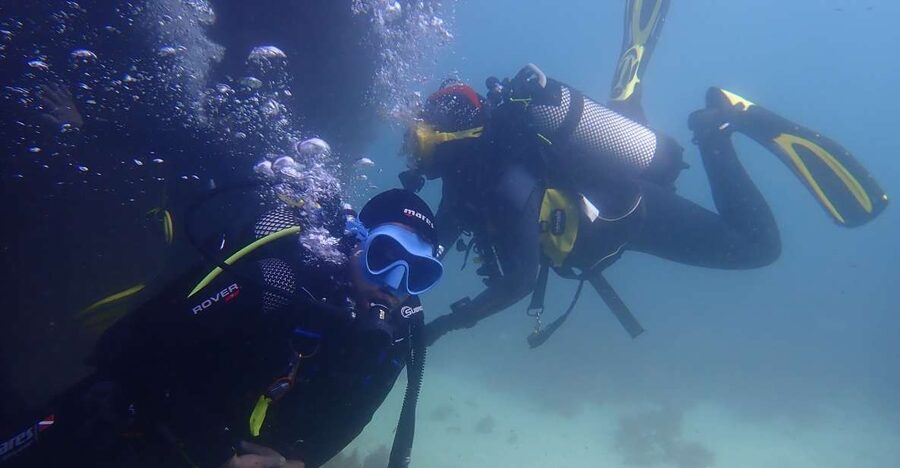 Lisbon: Try Dive in Arrábida Marine Reserve Setubal Sesimbra - Meeting the reefs and sea life