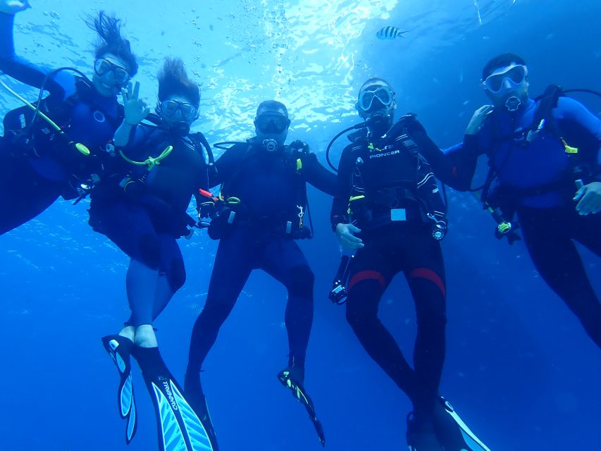 Lisbon: Try Dive in Arrábida Marine Reserve Setubal Sesimbra - Getting fitted for the two-hour session