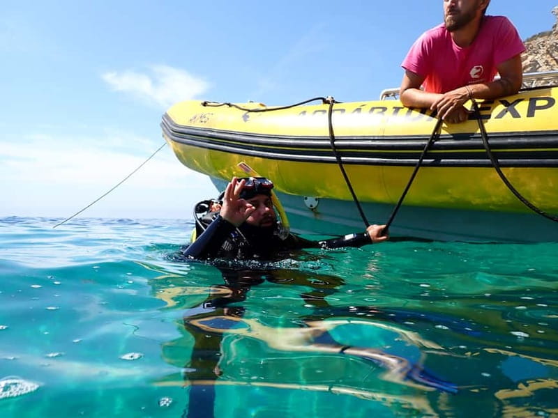 Lisbon: Try Scuba Diving in Arrábida Marine Reserve w/photos - Key points at a glance