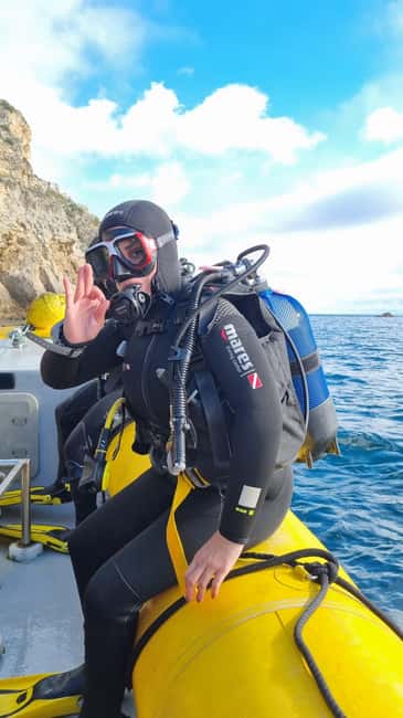 Lisbon: Try Scuba Diving in Arrábida Marine Reserve w/photos - What you may see in the marine reserve