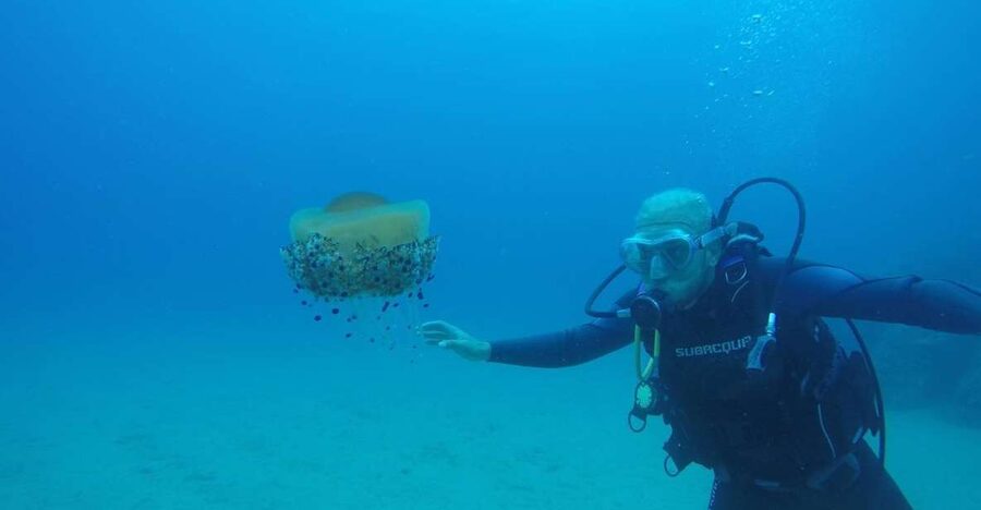 Lloret de Mar: Scuba Diving Experience no License Required - Key points to know before booking