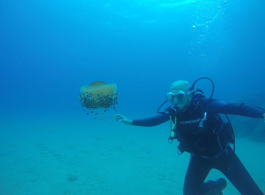Lloret de Mar: Scuba Diving Experience no License Required - Moving beyond the bay to 12 meters