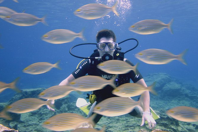 Local Guided Dives (for certified/licensed divers) - Choosing between one or two underwater outings