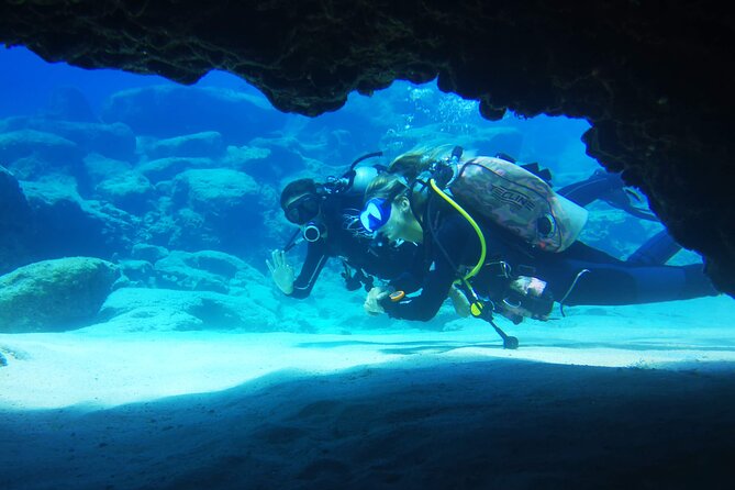 Local Guided Dives (for certified/licensed divers) - DeCosta Bay brings the best turtle possibility
