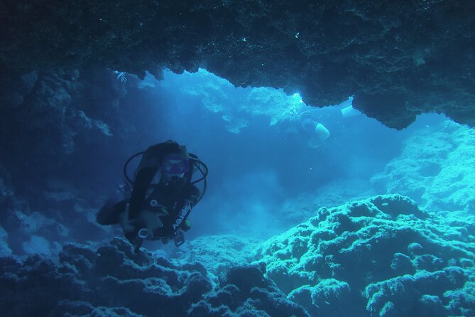 Local Guided Dives (for certified/licensed divers) - Crystal Cove is the place for moray eels and octopus