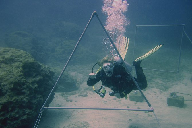 Local Guided Dives (for certified/licensed divers) - Green Bay is the safest-feeling introduction