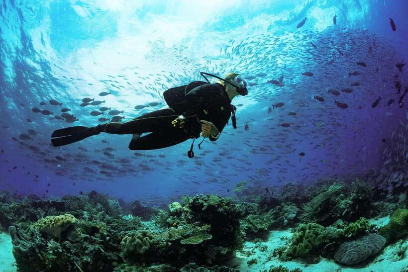Lombok: Open Water Diver Course - A calm first step into scuba on Lombok