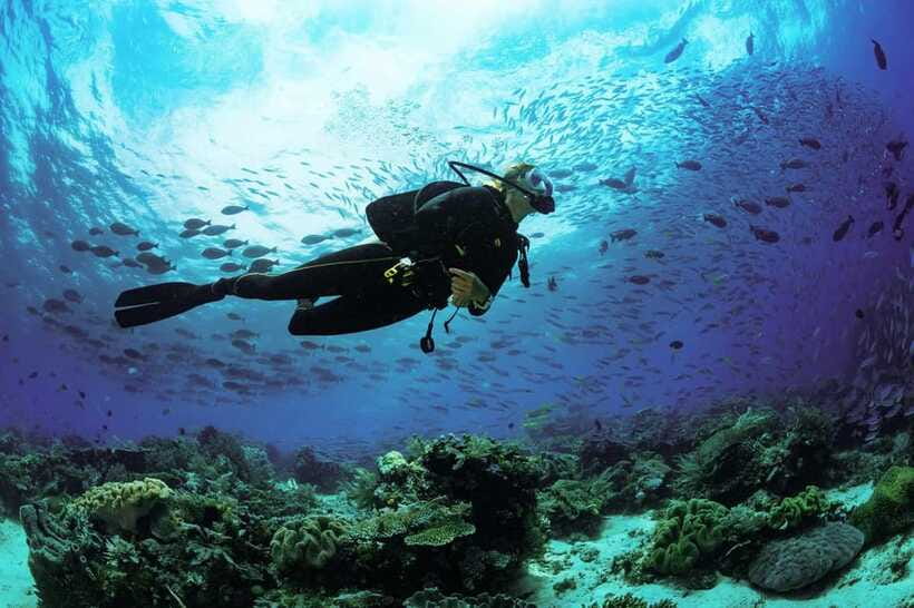Lombok: Open Water Diver Course - Two one-hour underwater sessions at Gili Kondo