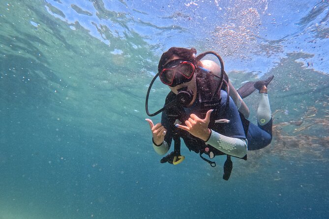 Los Cabos 1 tank dive to Land’s End (Certified Divers) - Why Land’s End is the focus