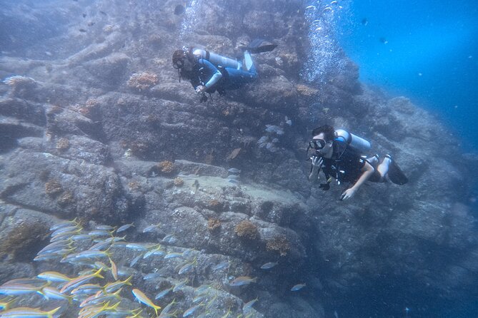 Los Cabos 1 tank dive to Land’s End (Certified Divers) - What your two-and-a-half hours look like