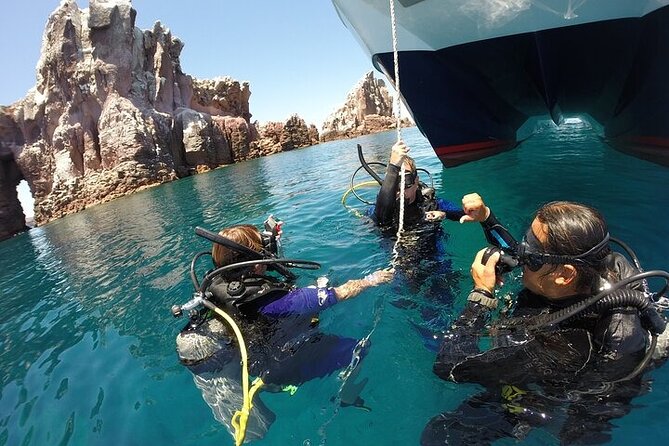 Los Cabos 1 tank dive to Land’s End (Certified Divers) - Choosing among Land’s End, Pelican Rock, and the walls