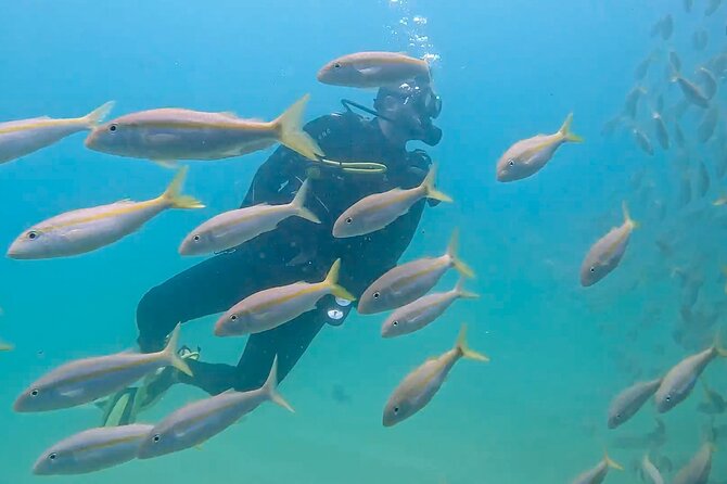 Los Cabos 2 tanks dive to The Corridor (Certified divers) - A shallower second session