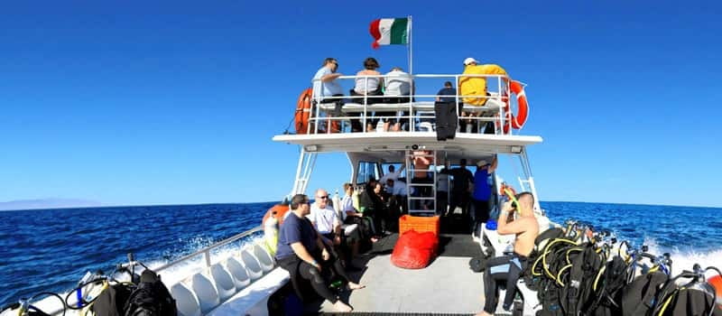 Los Cabos 3-Hour Certified Scuba Diving Tour - When to book for clearer water