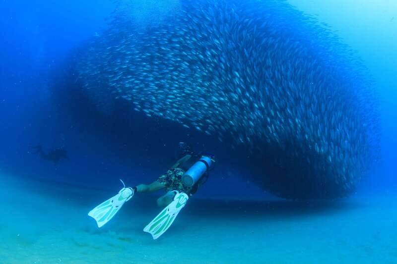Los Cabos 3-Hour Certified Scuba Diving Tour - The real price of the $129 outing