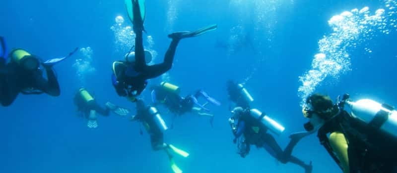 Los Cabos 3-Hour Certified Scuba Diving Tour - Certification, health, and age rules