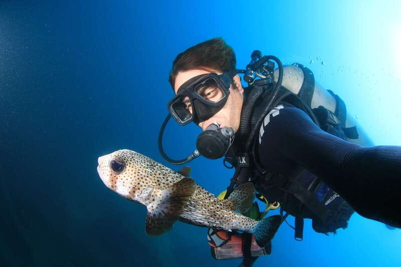 Los Cabos 3-Hour Certified Scuba Diving Tour - Who will get the most from this trip