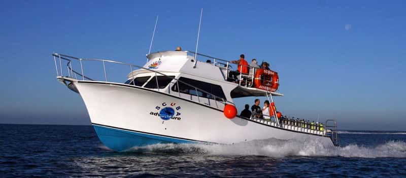 Los Cabos: 3-Hour Introductory Scuba Diving Adventure - What this Cabo scuba introduction actually offers