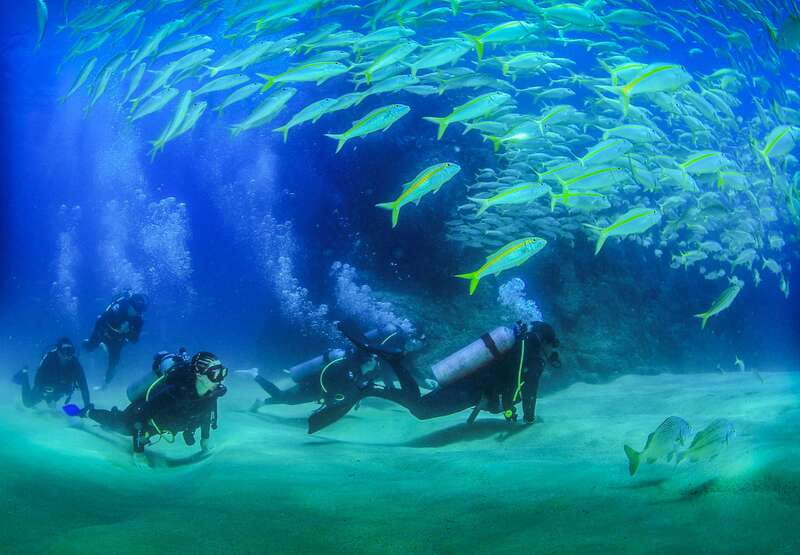 Los Cabos: 3-Hour Introductory Scuba Diving Adventure - Shallow-water practice helps you settle in