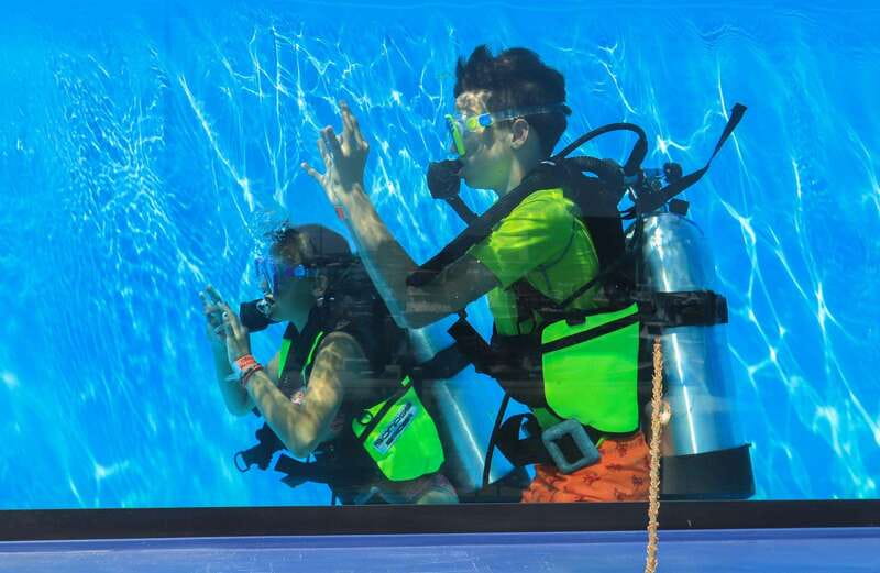 Los Cabos: 3-Hour Introductory Scuba Diving Adventure - How the Sea of Cortez changes by season