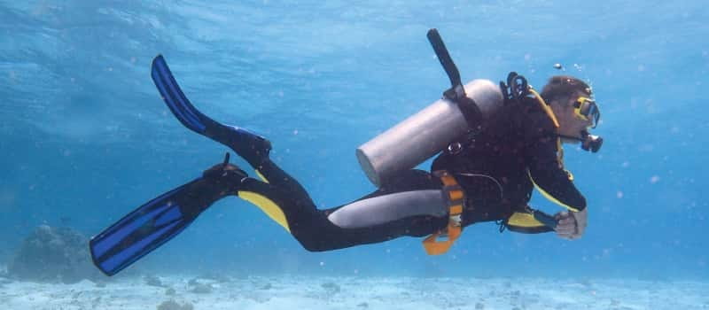 Los Cabos: 3-Hour Introductory Scuba Diving Adventure - What the $129 price really covers