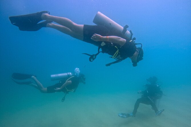 Los Cabos Beginner Scuba Dive Experience - Key points to know before you book