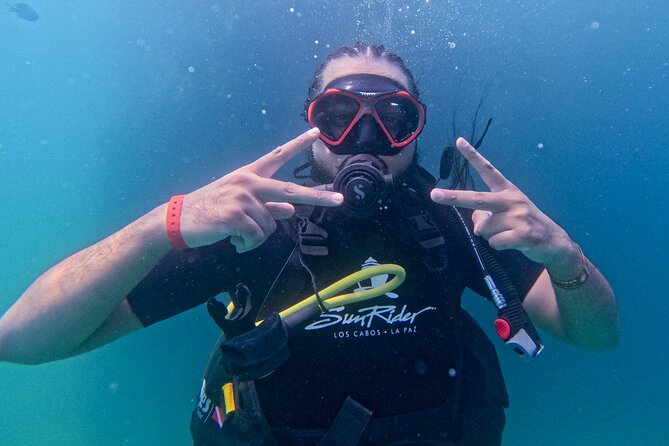 Los Cabos Open Water Diver Course - Key points to know before booking