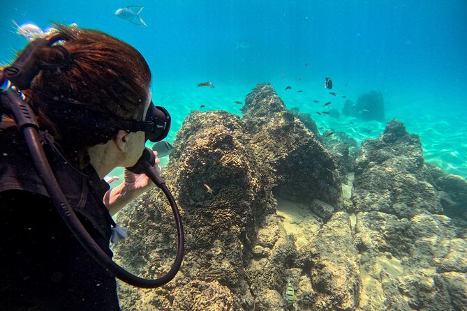 Los Cabos Open Water Diver Course - What you are really buying for $555