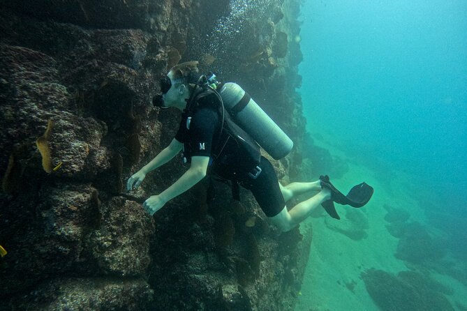 Los Cabos Open Water Diver Course - Day three: completing the certification work
