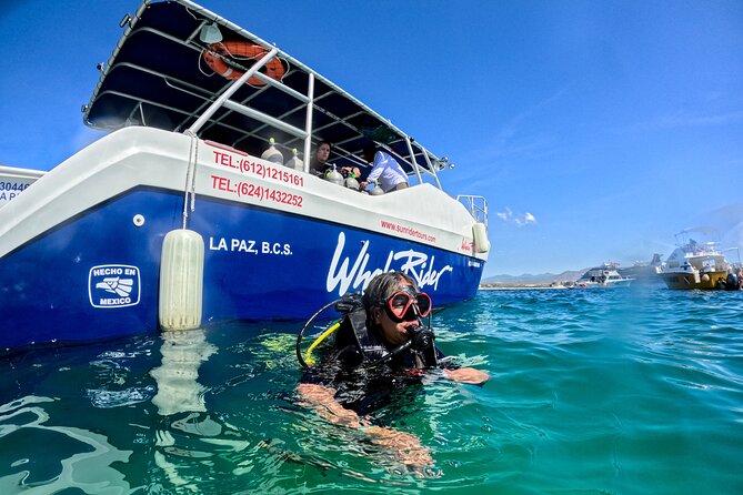 Los Cabos Open Water Diver Course - Should you book the Los Cabos Open Water Diver Course?