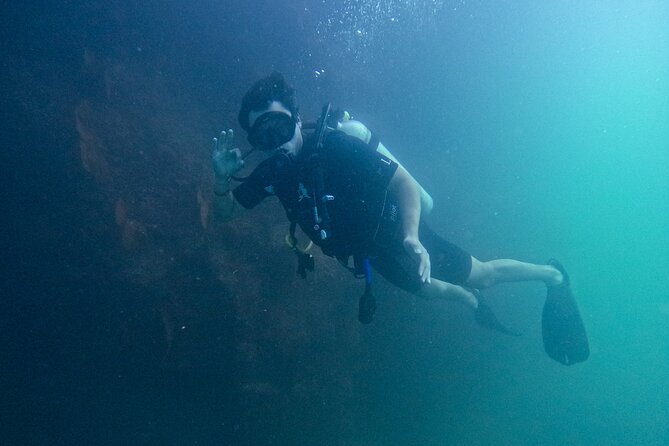 Los Cabos Open Water Diver Course - Day two: open water near Cabo San Lucas