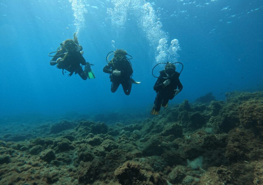 Los Cristianos: Basic Diver Course - Key points to know before booking