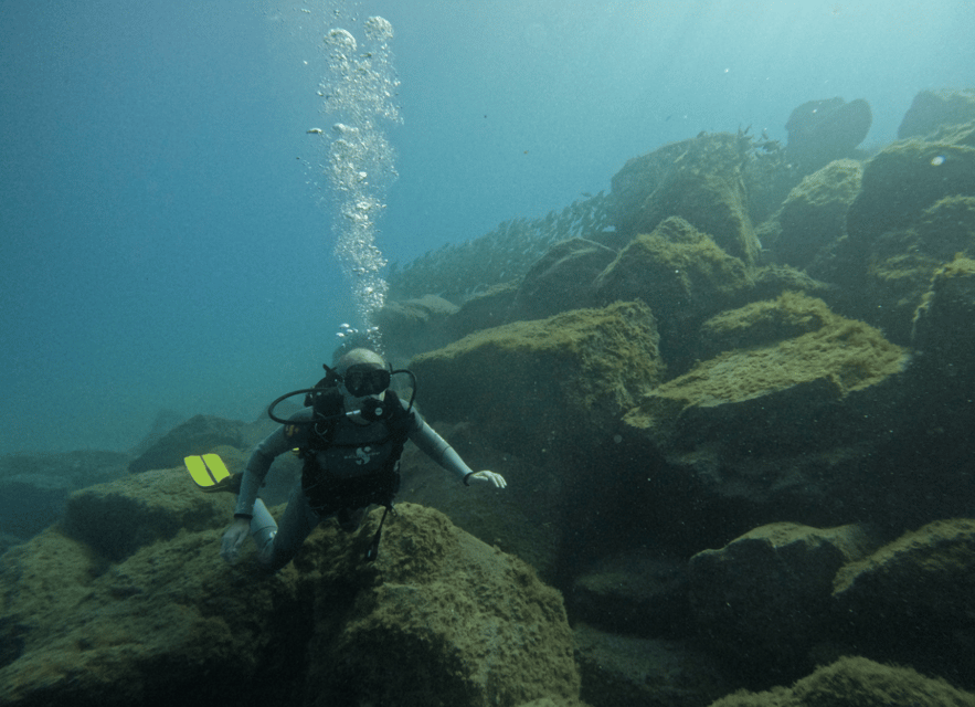 Los Cristianos: Basic Diver Course - Who will get the most from this course