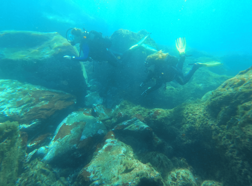 Los Cristianos: Basic Diver Course - Should you book the Los Cristianos Basic Diver Course?