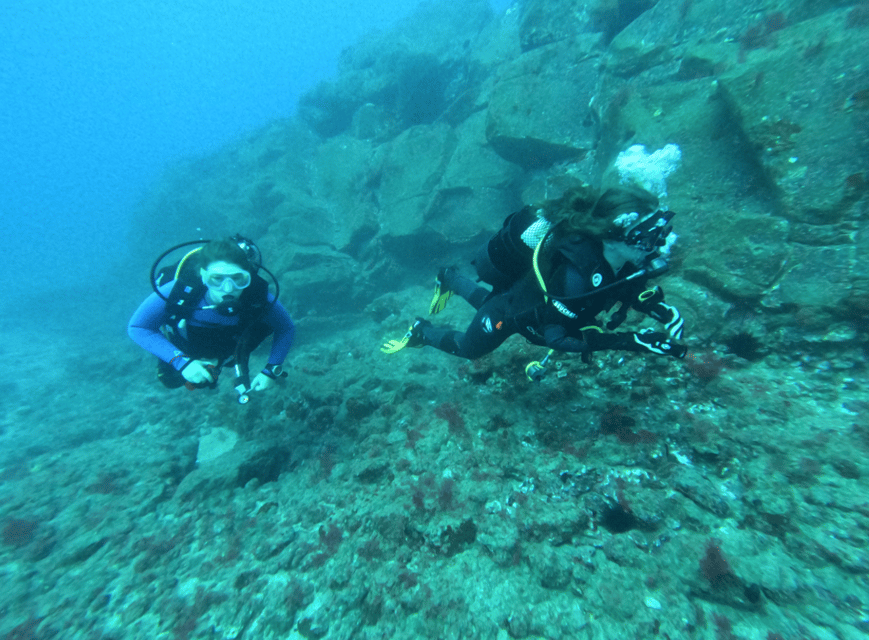 Los Cristianos: Try Dive for beginners - What the $94 price really includes
