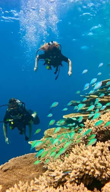 Maafushi: Discover Scuba Diving Class, First Time Experience - The 20-minute lesson that makes the difference