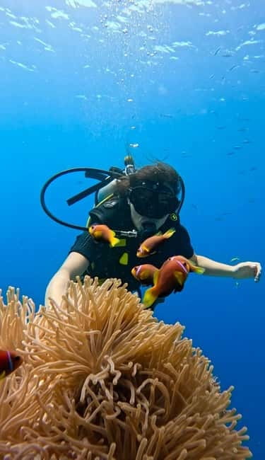 Maafushi: Discover Scuba Diving Class, First Time Experience - Fitting the equipment before you leave shore