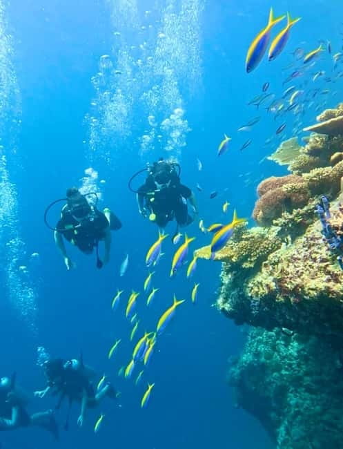 Maafushi: Discover Scuba Diving Class, First Time Experience - The sandbank stop and what to pack