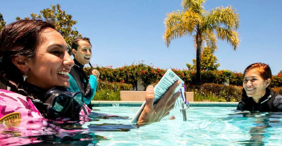Madeira: Open Water Diver First Certification Course - Four sea sessions, taken one step at a time