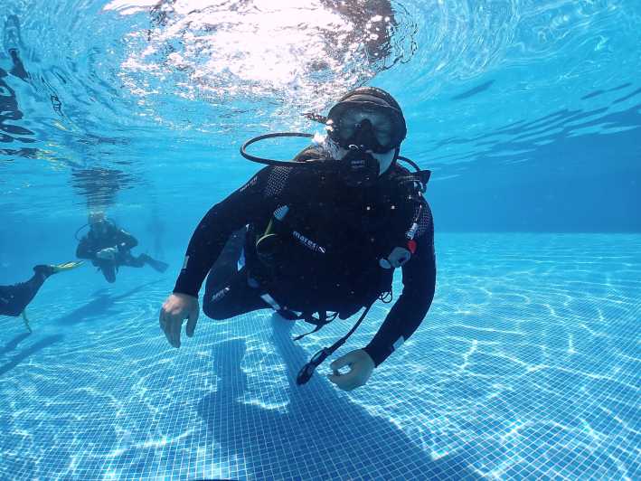 Madeira, Ponta São Lourenço: Scuba Diving for Beginners - Starting at the Azul Diving Center in Quinta do Lorde
