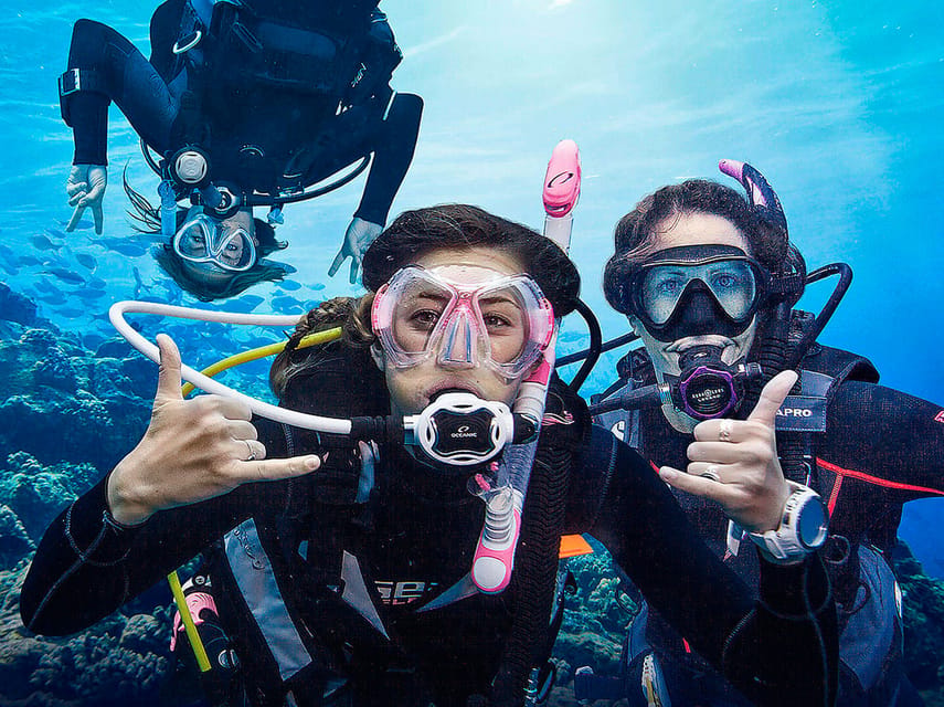 Madeira, Ponta São Lourenço: Scuba Diving for Beginners - The instructors are the heart of the session