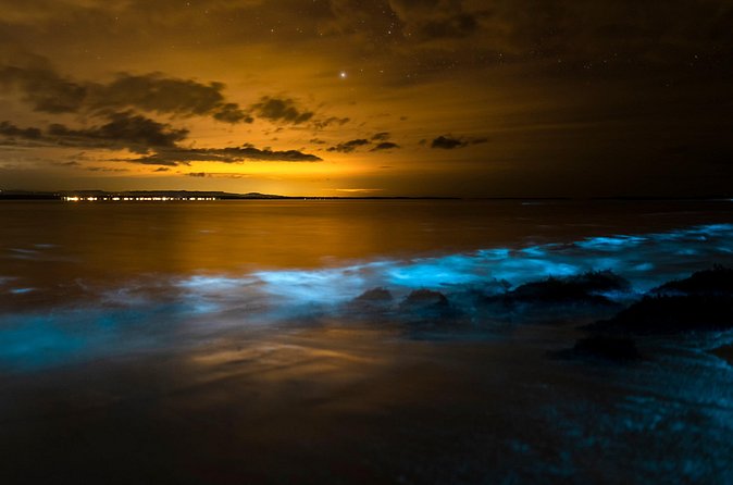 Magical Bioluminescent Night Dive - What the underwater portion is meant to show