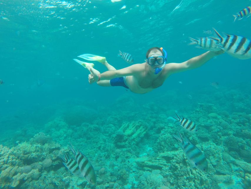 Makadi Bay: Snorkelling and Diving Island Trip - Snorkeling over Red Sea coral