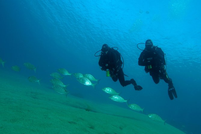 Make a private Try Dive, for your first Scuba experience! - What the $106.82 price includes in practical terms