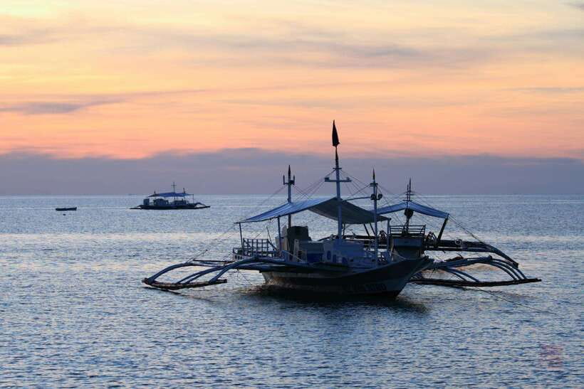 Malapascua: Advance Divers Shark Dive & Optional Transfer - The real cost of the $103 price