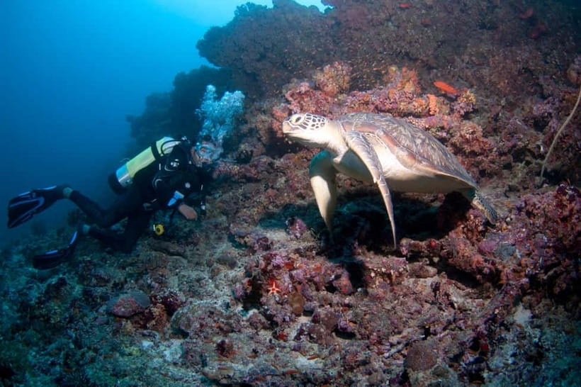 Maldives: Discover Scuba Diving - Key points at a glance